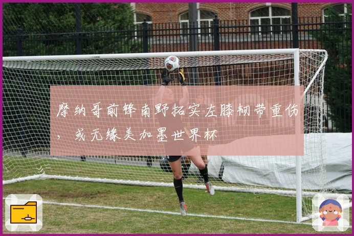 摩纳哥前锋南野拓实左膝韧带重伤，或无缘美加墨世界杯